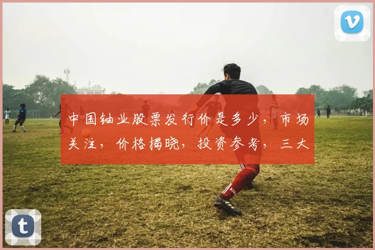 中国铀业股票发行价是多少，市场关注，价格揭晓，投资参考，三大要点解析，不容错过