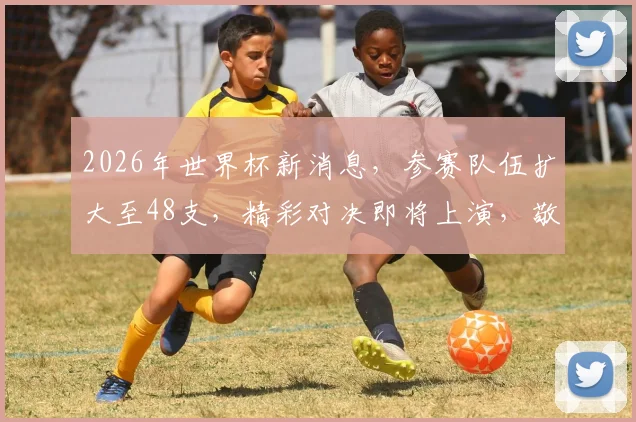 2026年世界杯新消息，参赛队伍扩大至48支，精彩对决即将上演，敬请期待