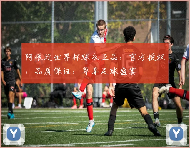 阿根廷世界杯球衣正品，官方授权，品质保证，尊享足球盛宴